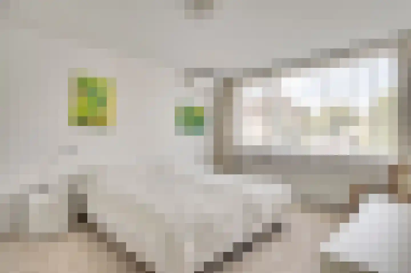Evenkamp 30 Roermond thumbnail 29
