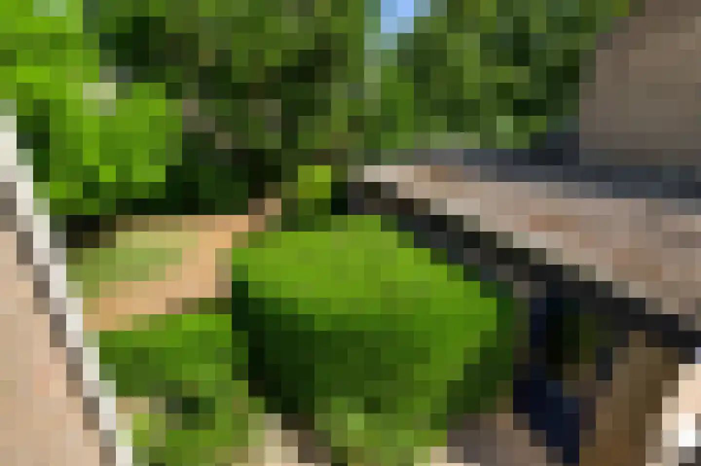 Evenkamp 30 Roermond thumbnail 37