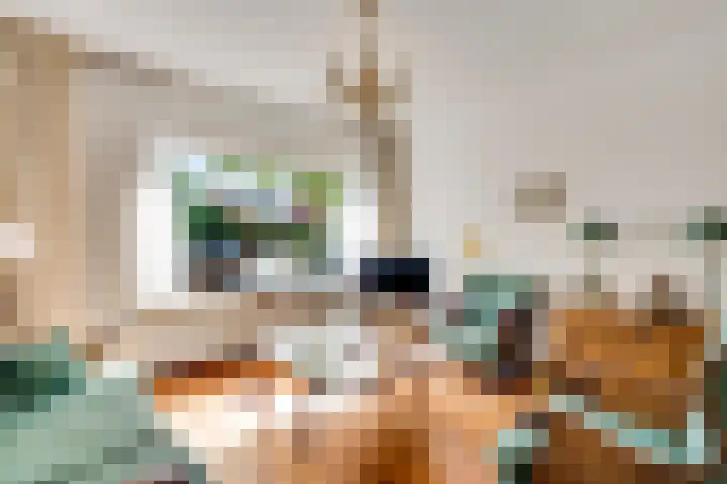 Evenkamp 30 Roermond thumbnail 7