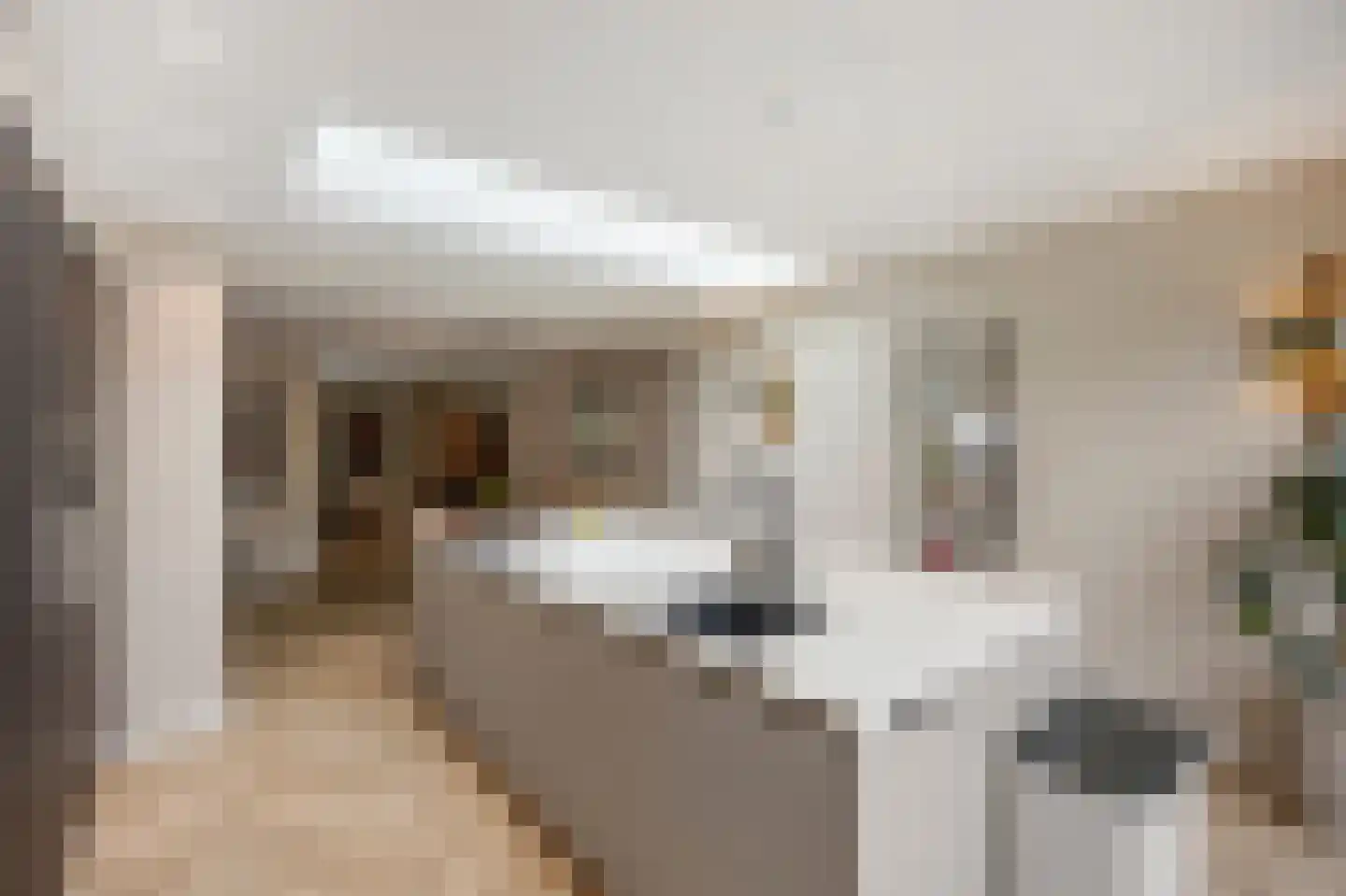 Evenkamp 74 Roermond thumbnail 19