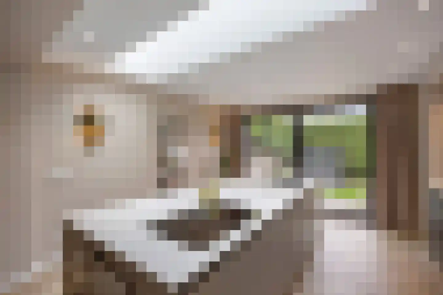 Evenkamp 74 Roermond thumbnail 22