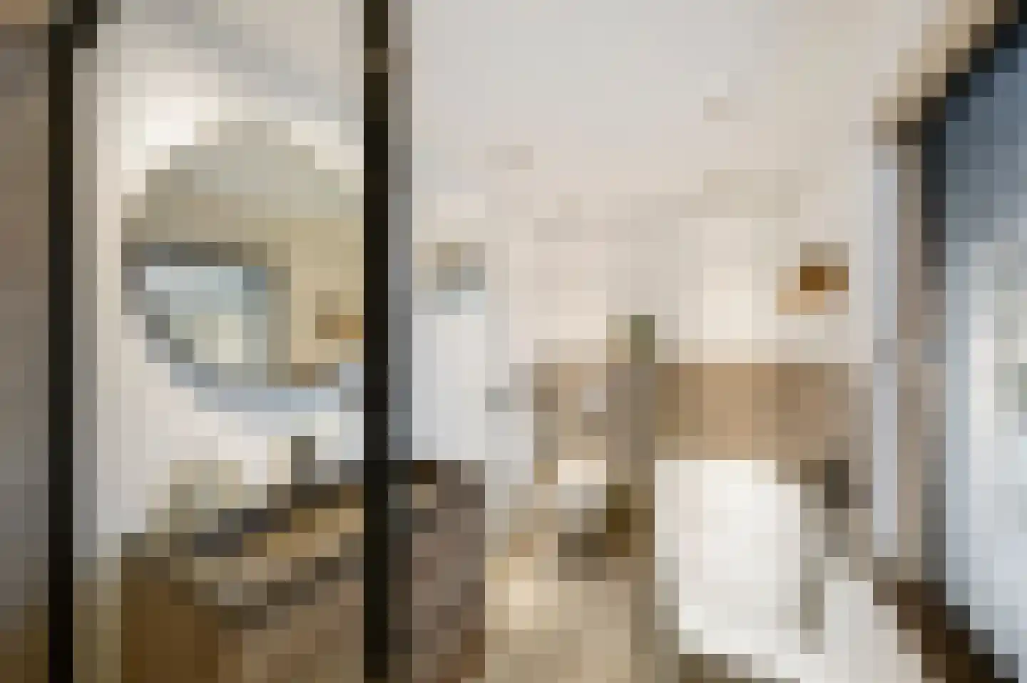 Evenkamp 74 Roermond thumbnail 33