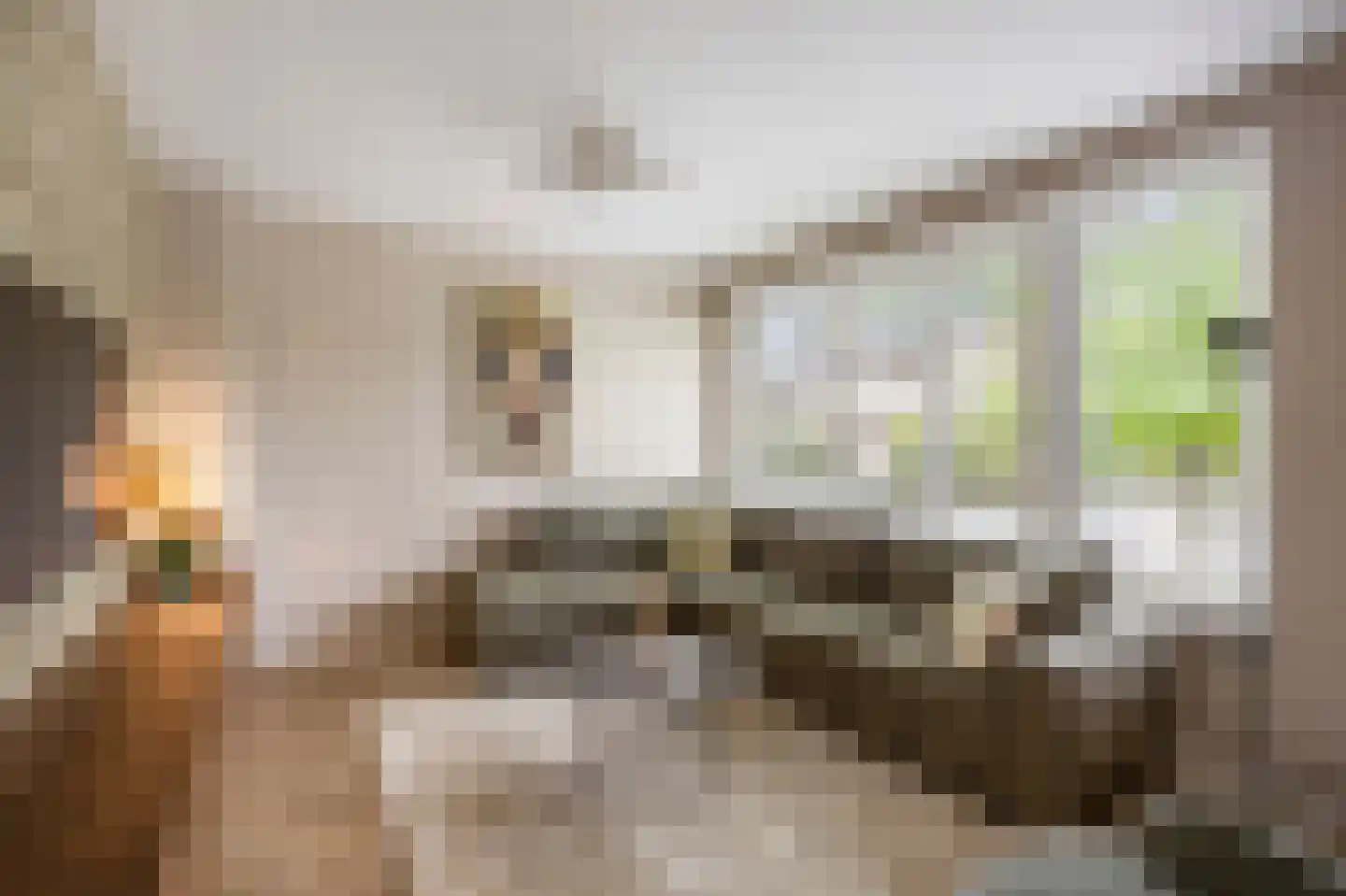 Evenkamp 74 Roermond thumbnail 7