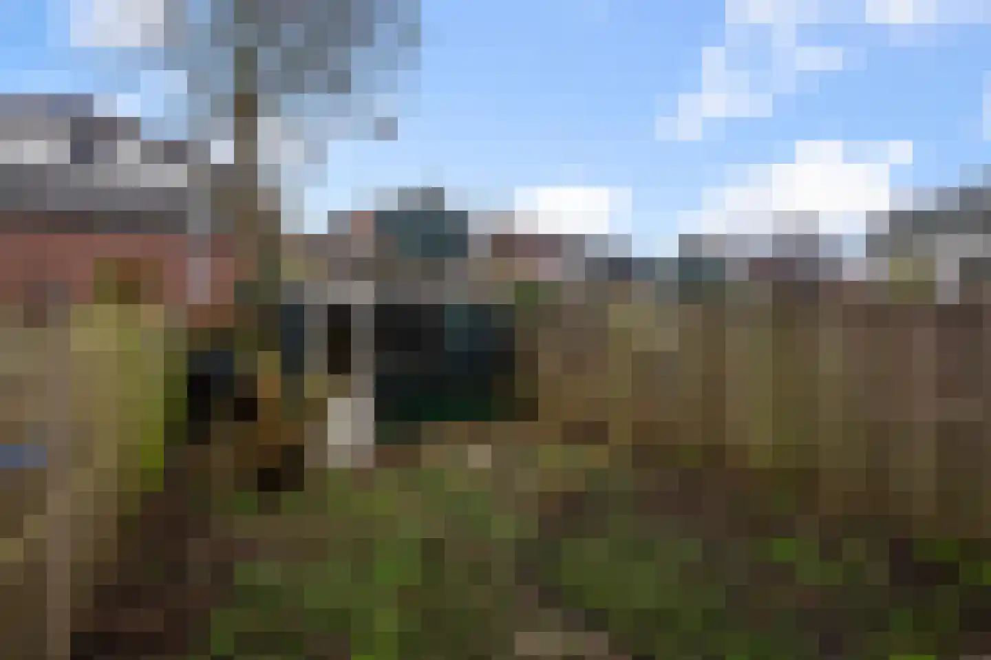 Evenwichtstraat 16 Krommenie thumbnail 18