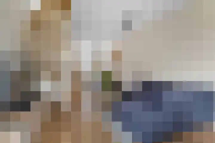 Evenwichtstraat 17 Krommenie thumbnail 10
