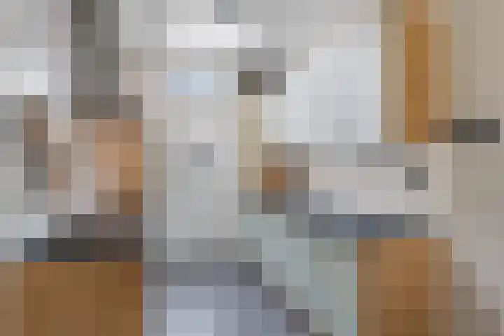 Evenwichtstraat 17 Krommenie thumbnail 16