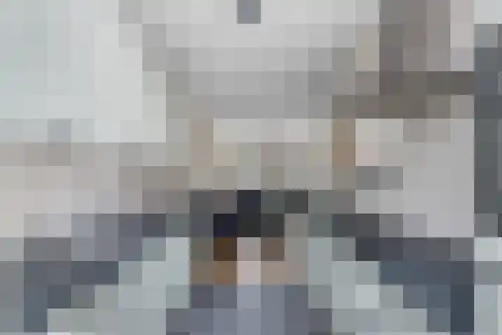 Evenwichtstraat 17 Krommenie thumbnail 20