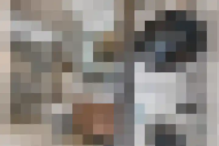 Evenwichtstraat 17 Krommenie thumbnail 27