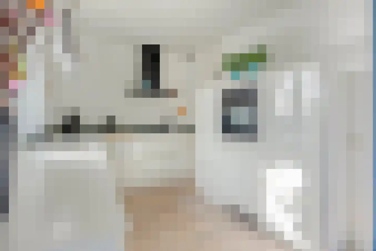 Evenwichtstraat 2 A Krommenie thumbnail 9