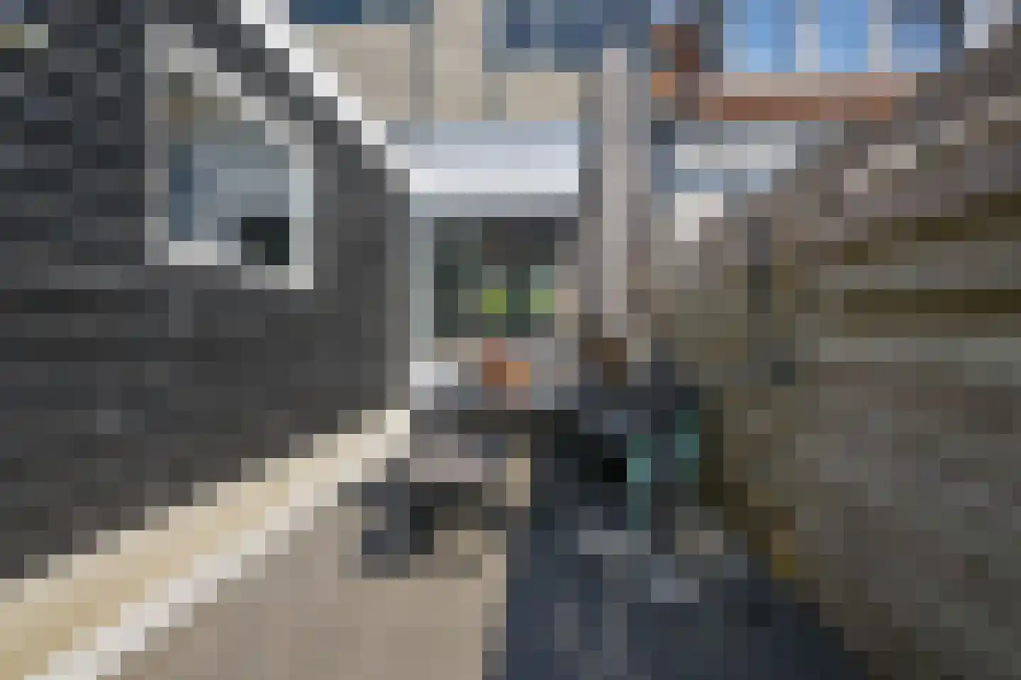 Evenwichtstraat 36 Krommenie thumbnail 12