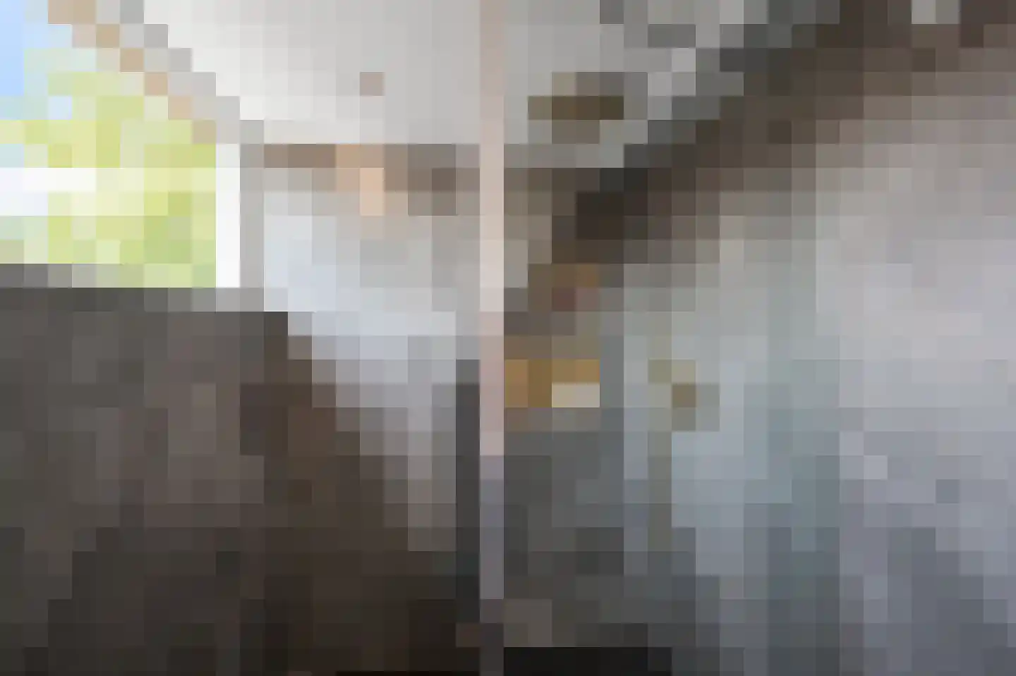 Evenwichtstraat 36 Krommenie thumbnail 26