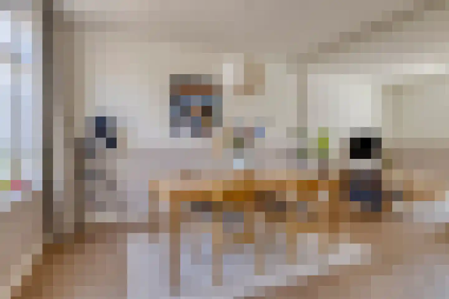 Evenwichtstraat 38 Krommenie thumbnail 10