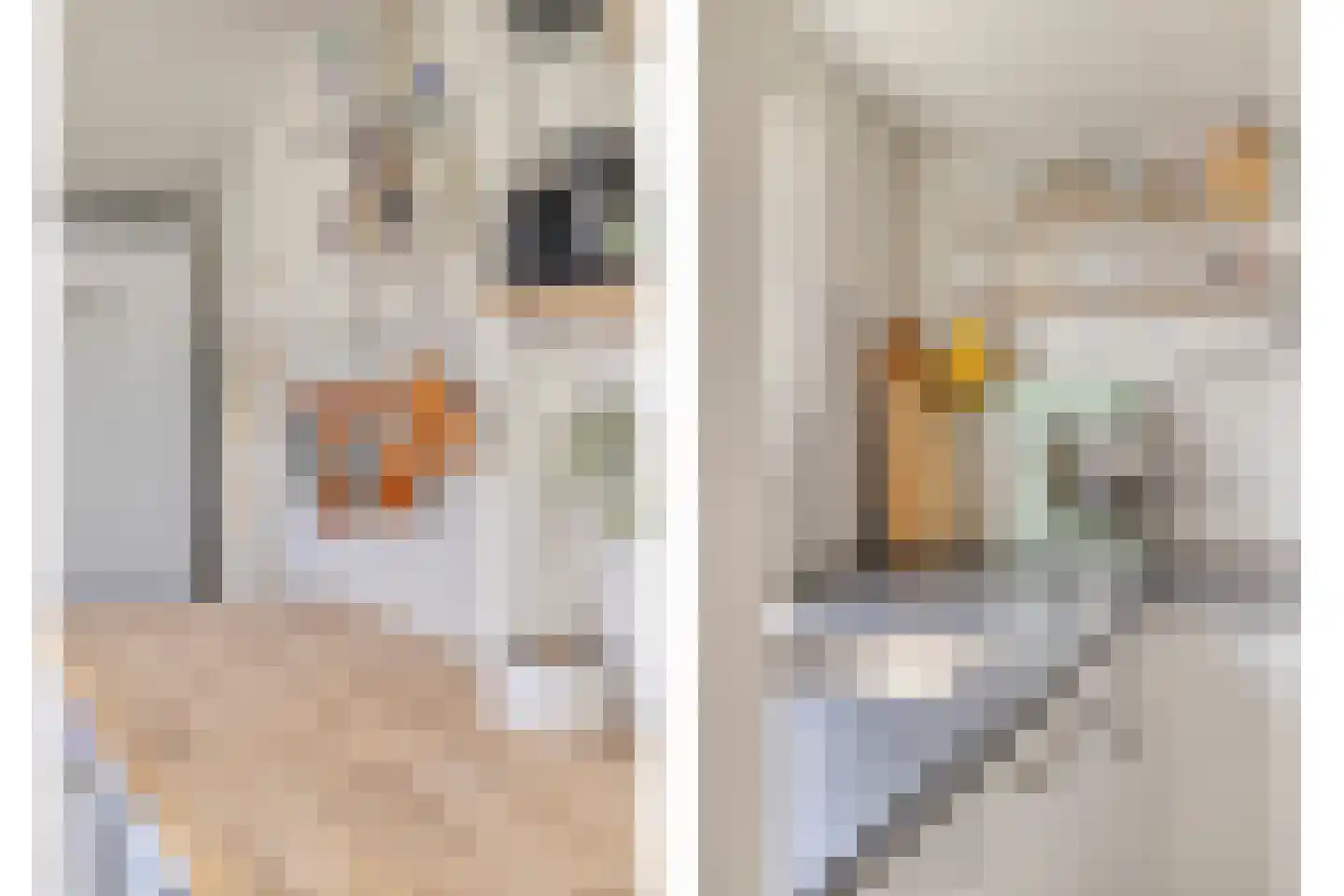 Evenwichtstraat 38 Krommenie thumbnail 16