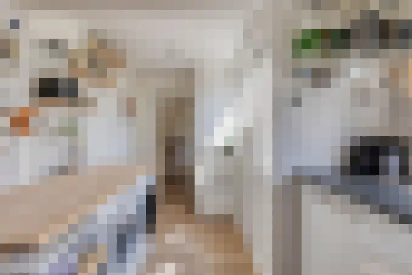 Evenwichtstraat 38 Krommenie thumbnail 17