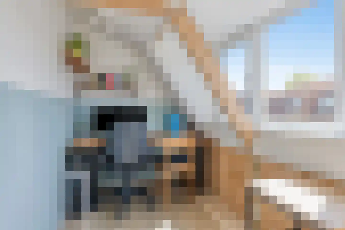 Evenwichtstraat 38 Krommenie thumbnail 23
