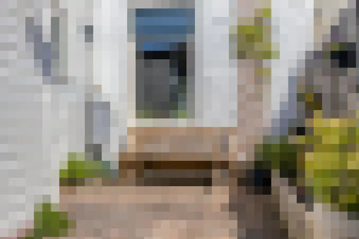 Evenwichtstraat 38 Krommenie thumbnail 26