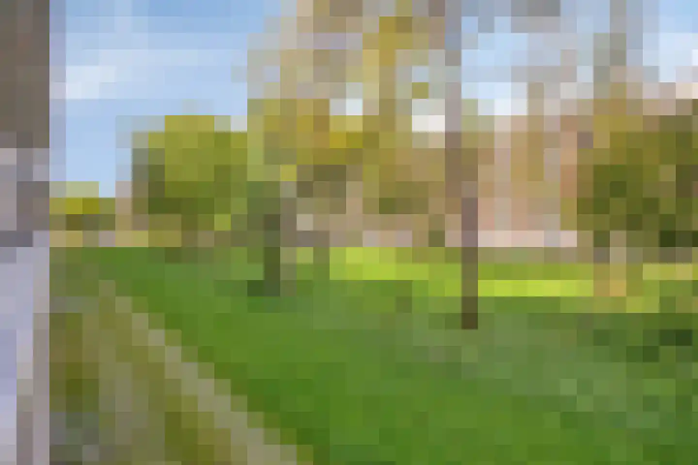 Everaertstraat 17 Rotterdam thumbnail 33