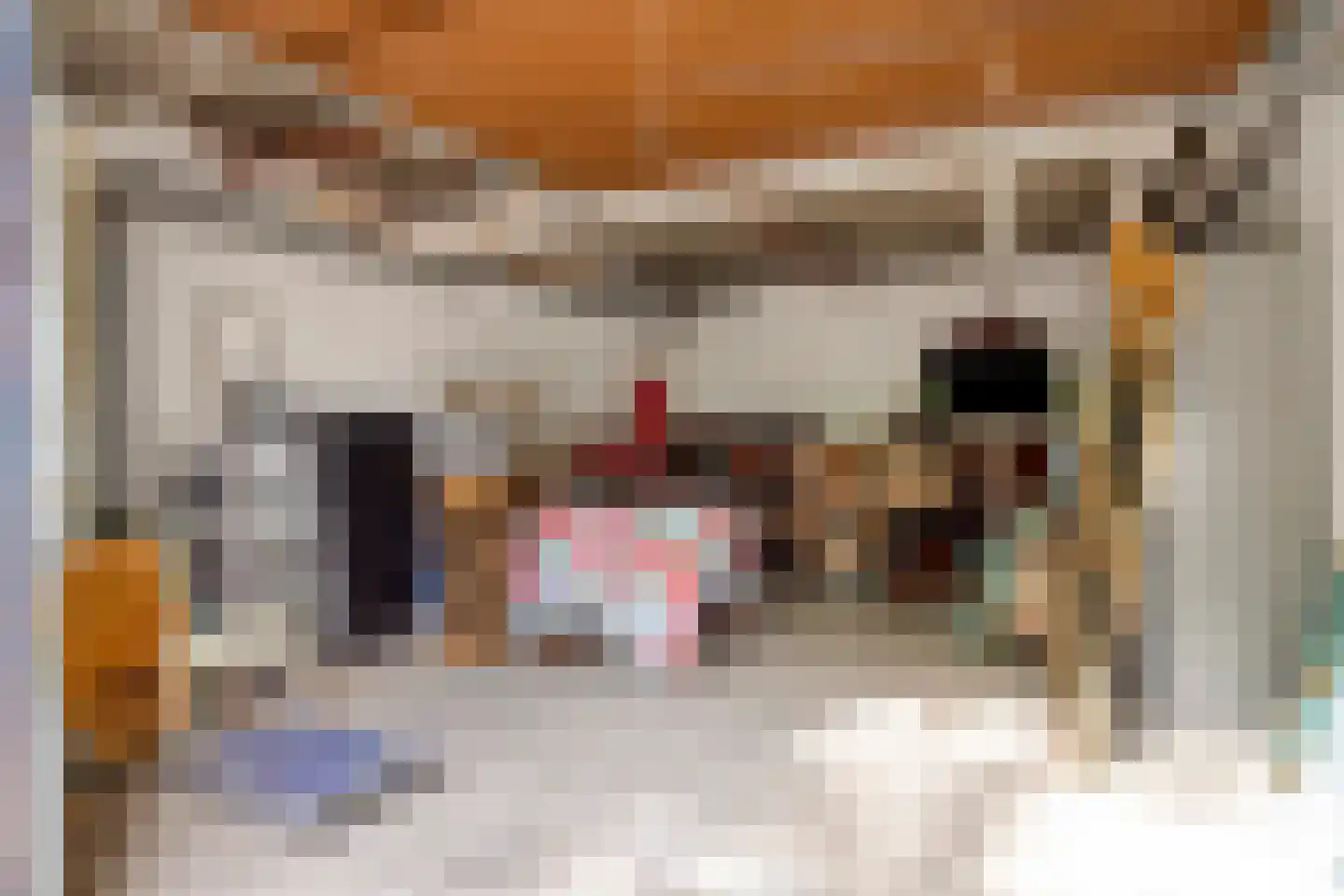 Everaertstraat 17 Rotterdam thumbnail 35