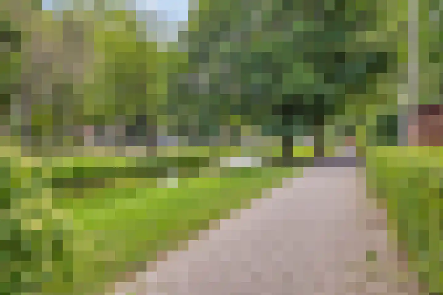 Everaertstraat 17 Rotterdam thumbnail 38