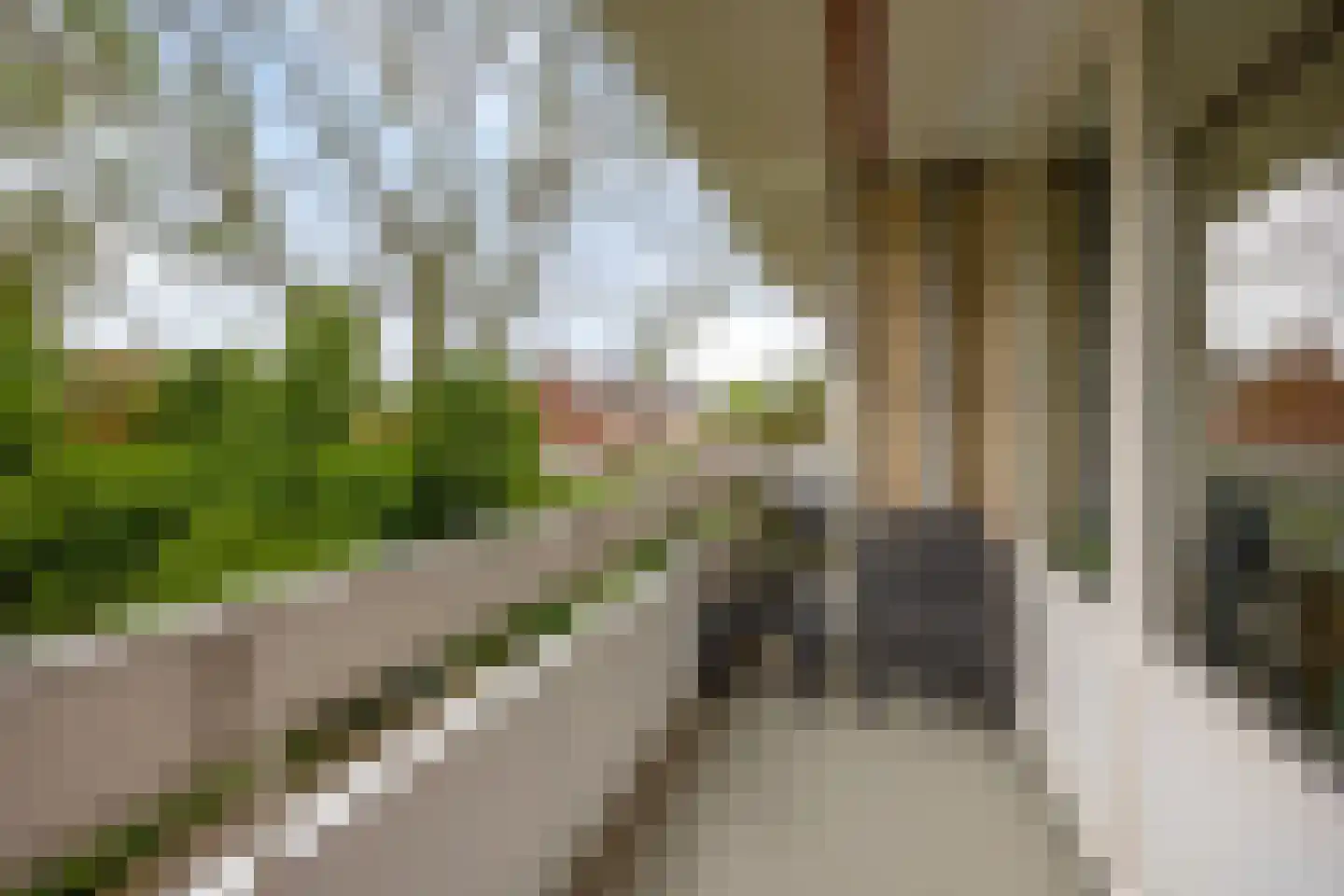 Everaertstraat 217 Rotterdam thumbnail 10
