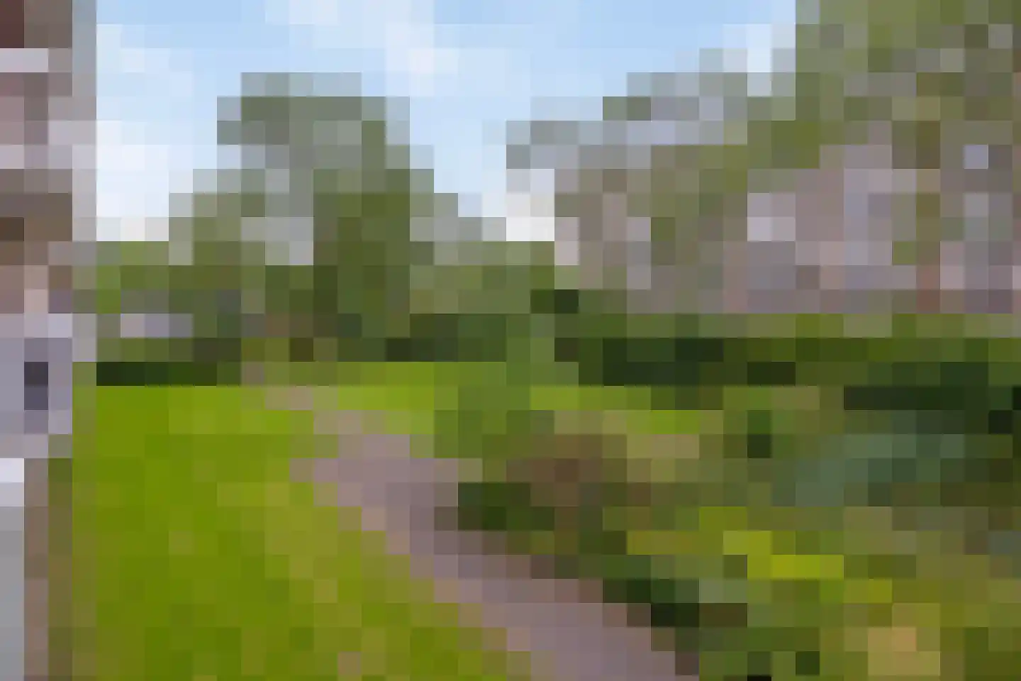 Everaertstraat 217 Rotterdam thumbnail 12