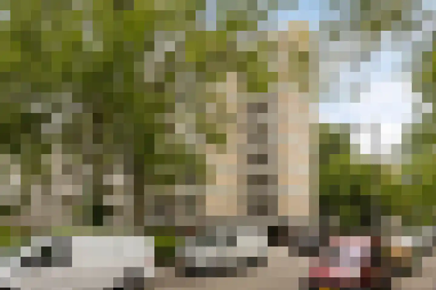 Everaertstraat 217 Rotterdam thumbnail 26