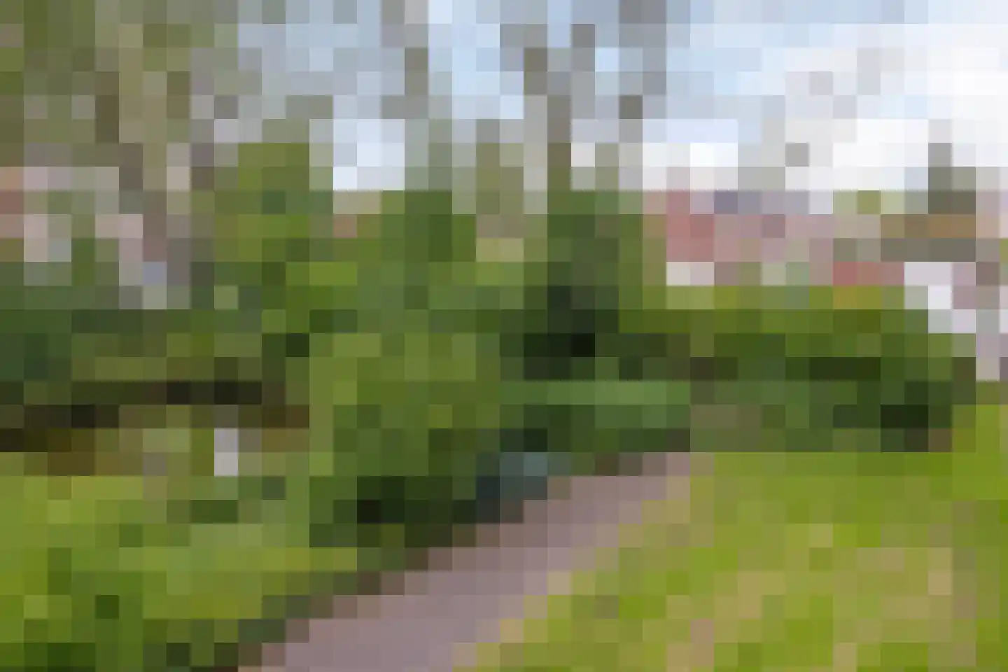 Everaertstraat 217 Rotterdam thumbnail 35