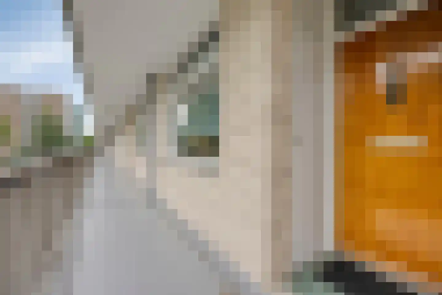 Everaertstraat 239 Rotterdam thumbnail 11