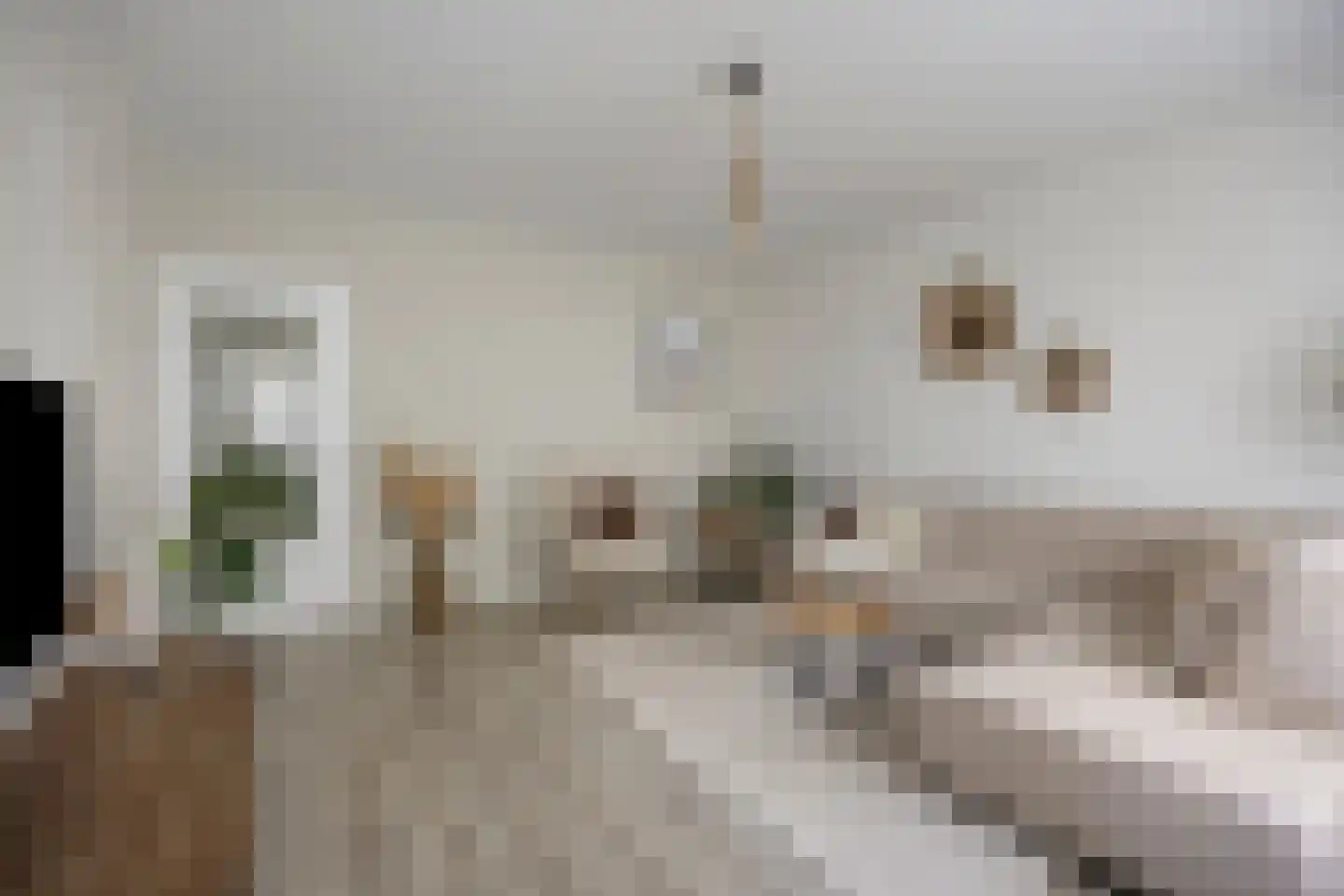 Everaertstraat 239 Rotterdam thumbnail 20