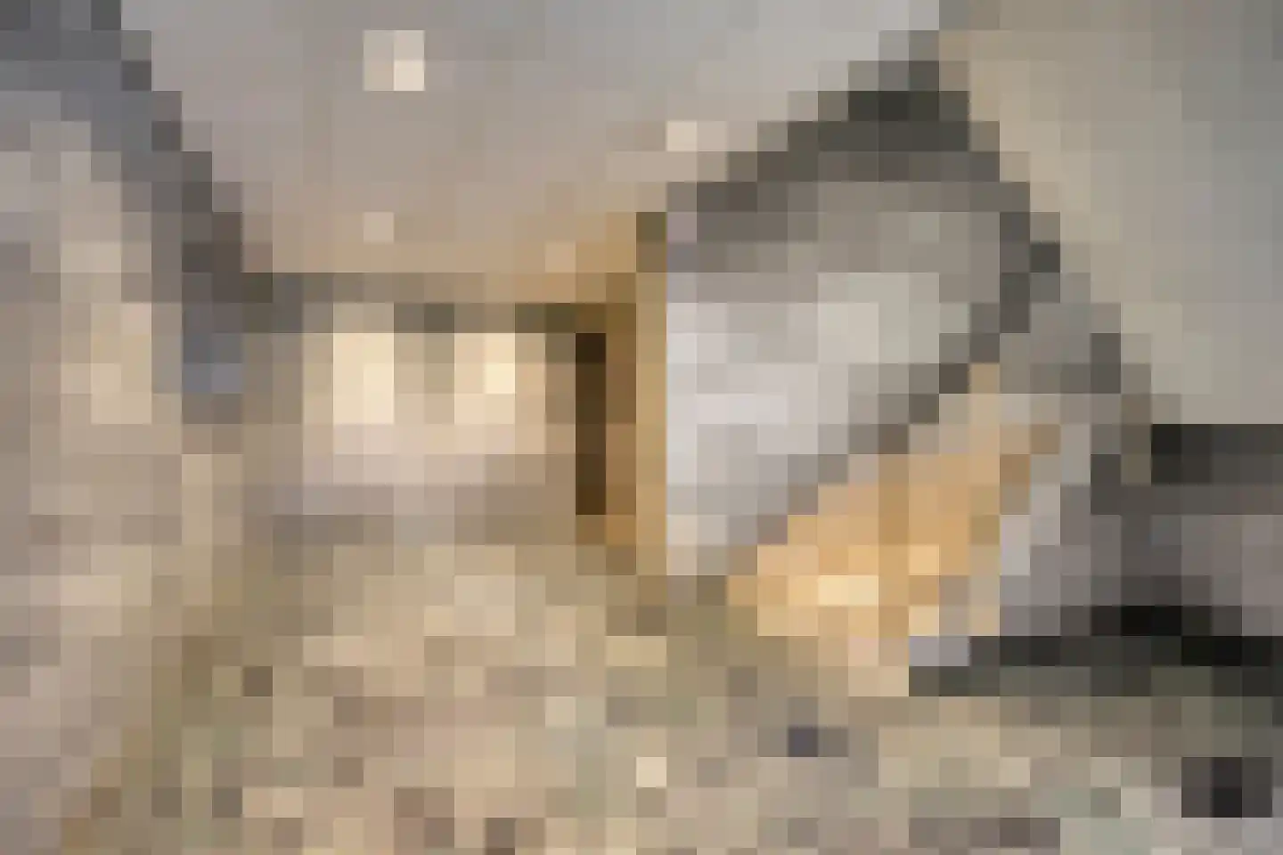 Everaertstraat 239 Rotterdam thumbnail 9