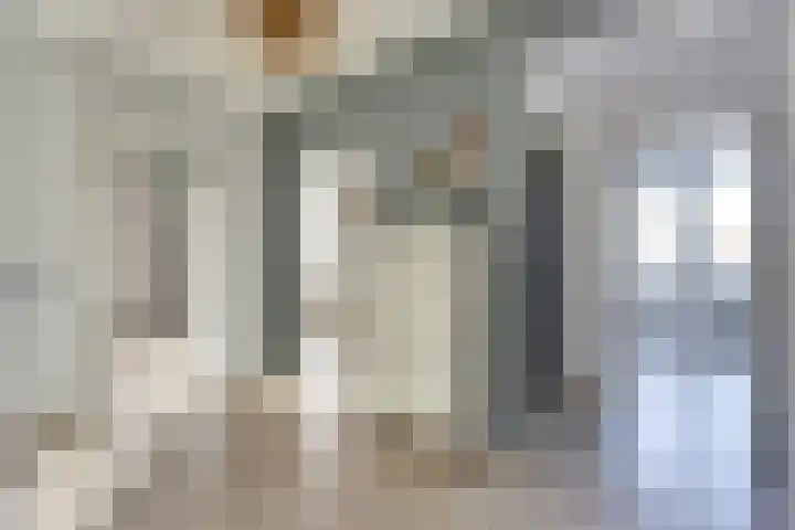 Everaertstraat 243 Rotterdam thumbnail 11