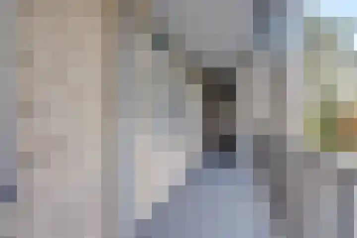 Everaertstraat 243 Rotterdam thumbnail 22