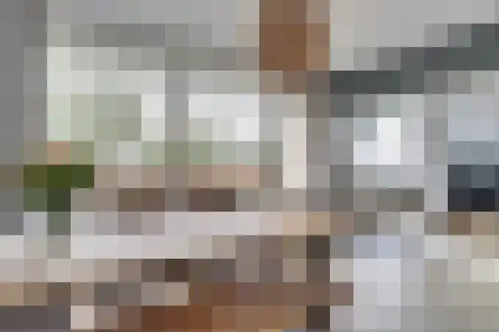 Everaertstraat 243 Rotterdam thumbnail 4