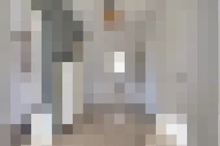 Everaertstraat 243 Rotterdam thumbnail 5