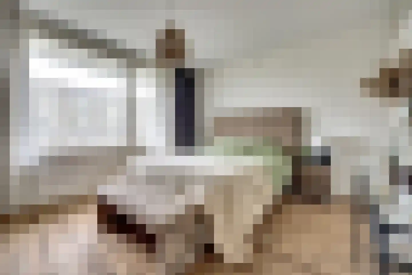 Everaertstraat 253 Rotterdam thumbnail 21