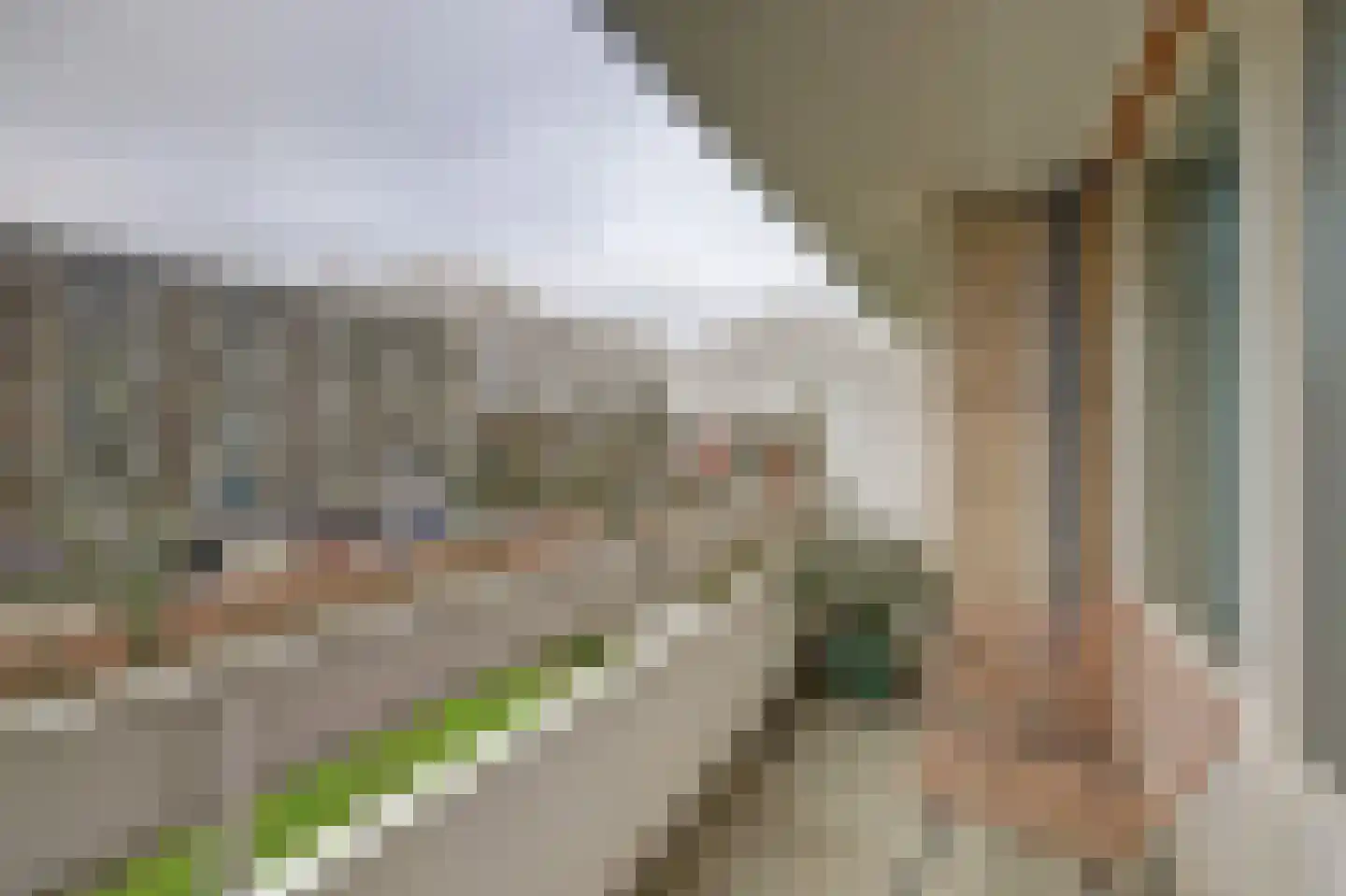 Everaertstraat 253 Rotterdam thumbnail 4