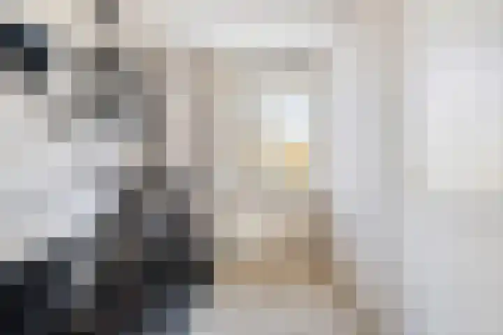 Everaertstraat 309 Rotterdam thumbnail 20