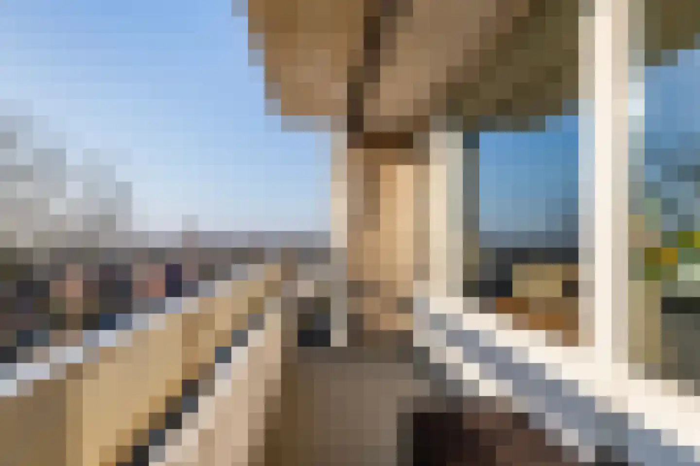 Everaertstraat 309 Rotterdam thumbnail 23
