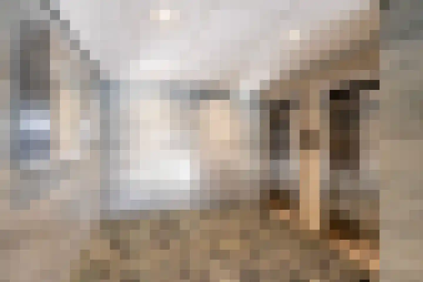 Everaertstraat 309 Rotterdam thumbnail 31