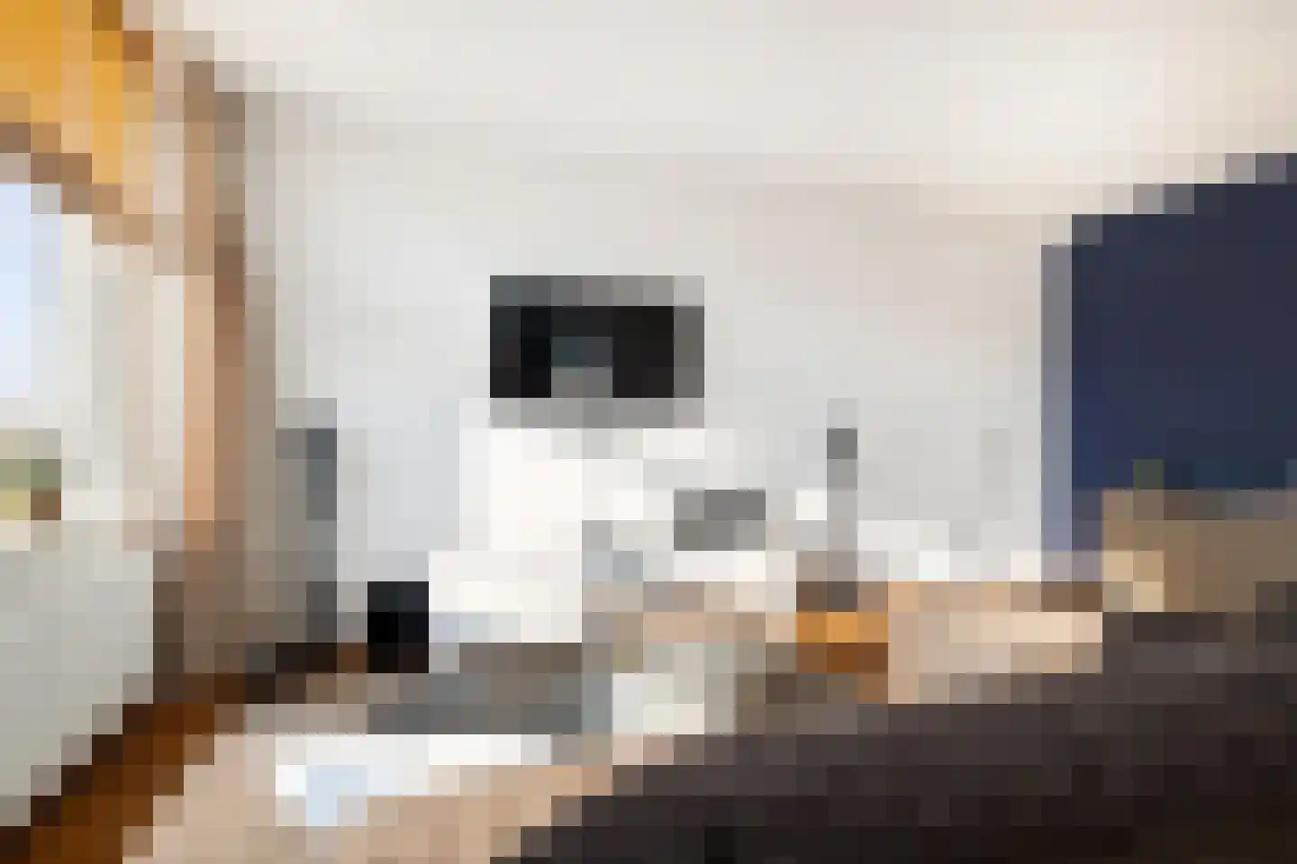 Everaertstraat 309 Rotterdam thumbnail 8