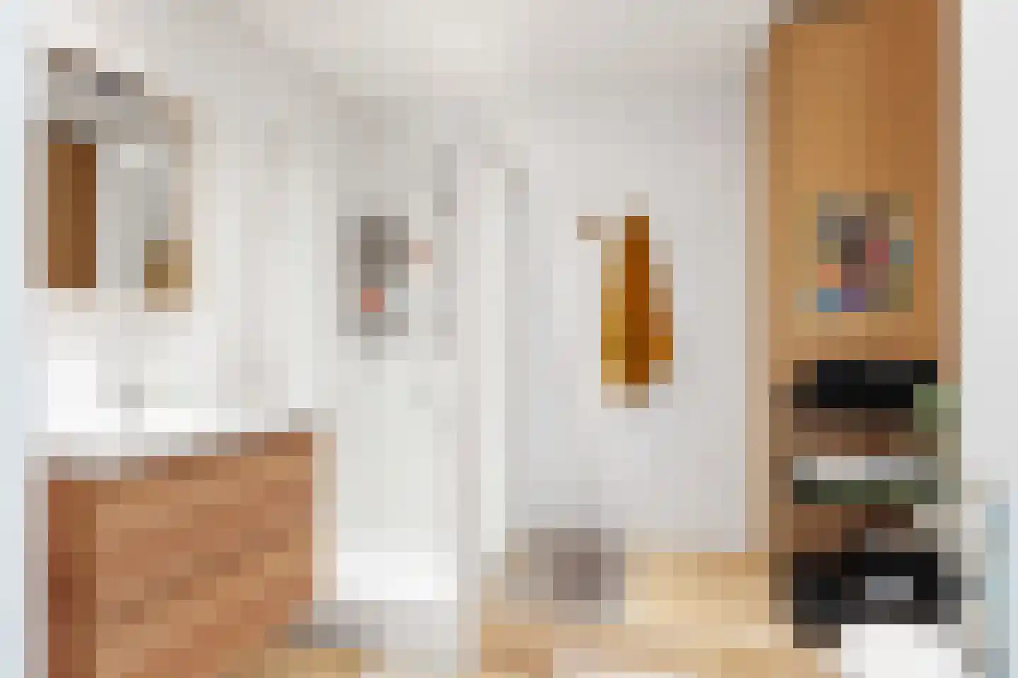 Everaertstraat 325 Rotterdam thumbnail 18
