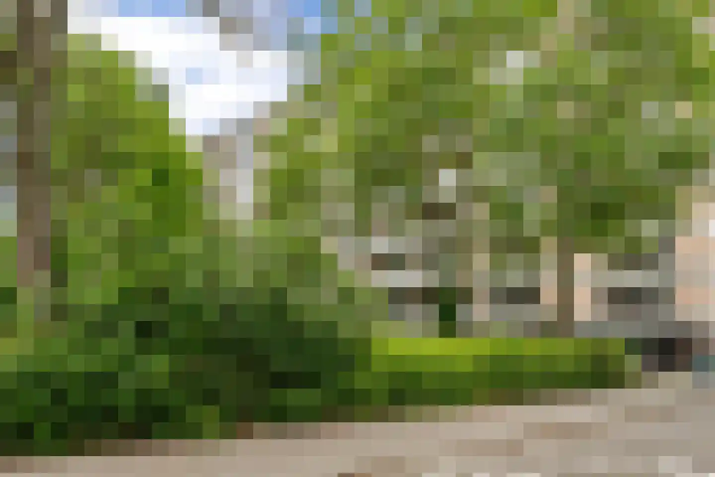 Everaertstraat 325 Rotterdam thumbnail 22