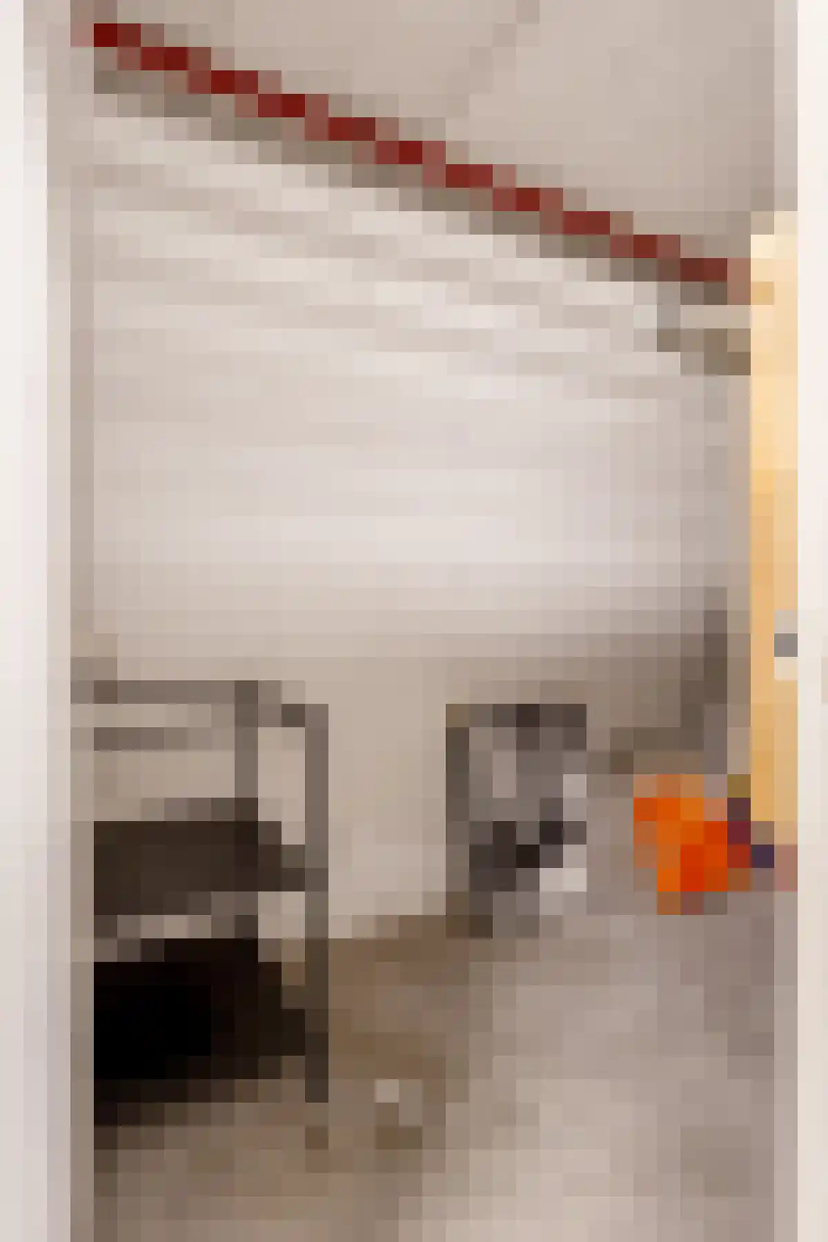 Everaertstraat 325 Rotterdam thumbnail 26