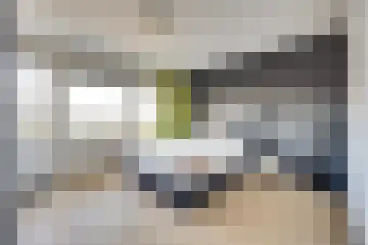 Everaertstraat 337 Rotterdam thumbnail 14