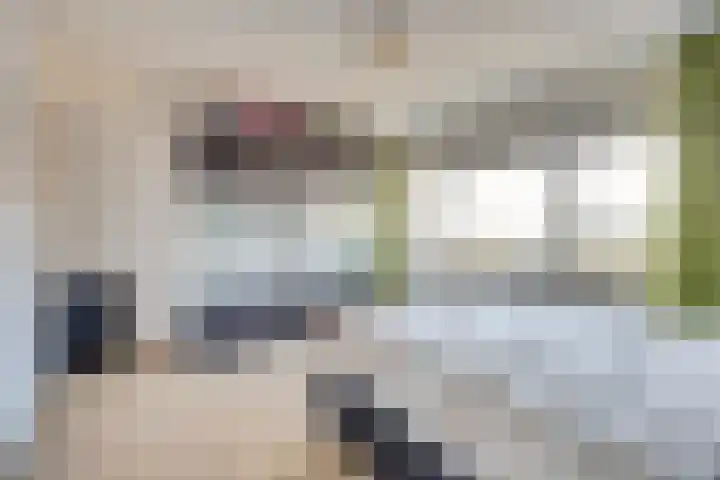 Everaertstraat 337 Rotterdam thumbnail 16