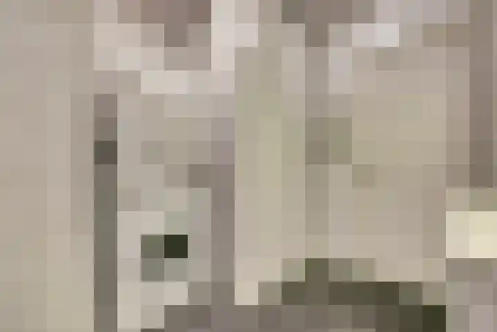 Everaertstraat 337 Rotterdam thumbnail 21