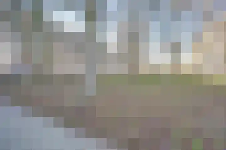 Everaertstraat 337 Rotterdam thumbnail 32