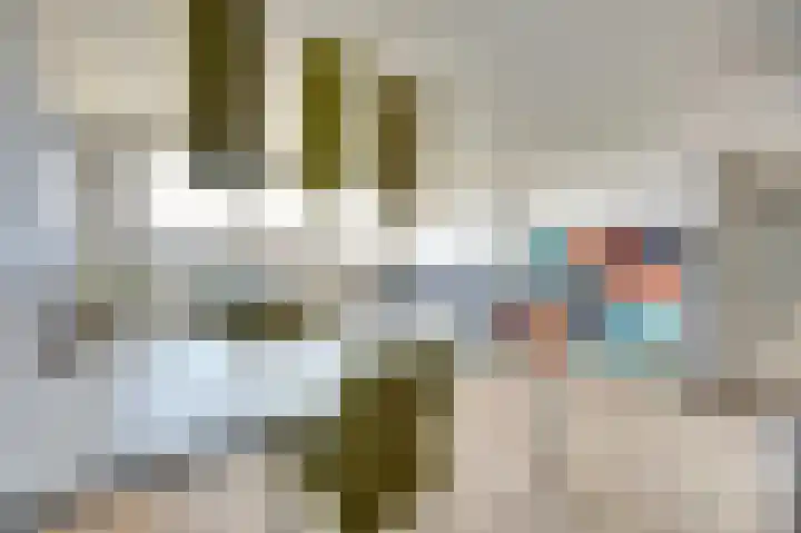 Everaertstraat 337 Rotterdam thumbnail 8