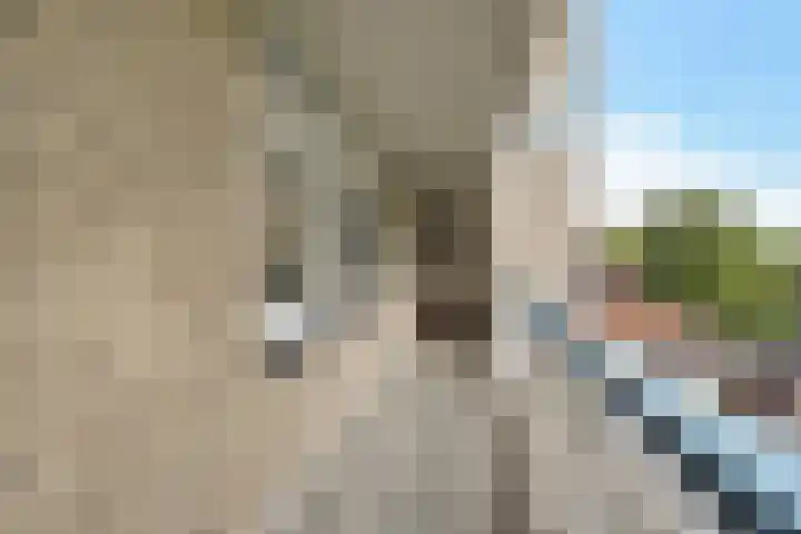 Everaertstraat 53 Rotterdam thumbnail 10