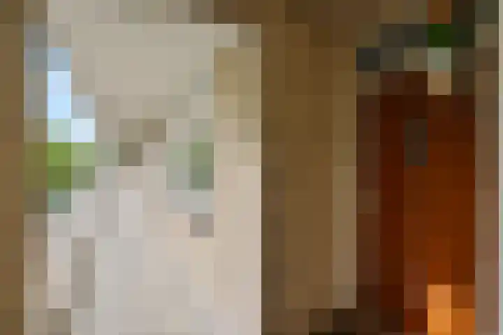 Everaertstraat 53 Rotterdam thumbnail 11